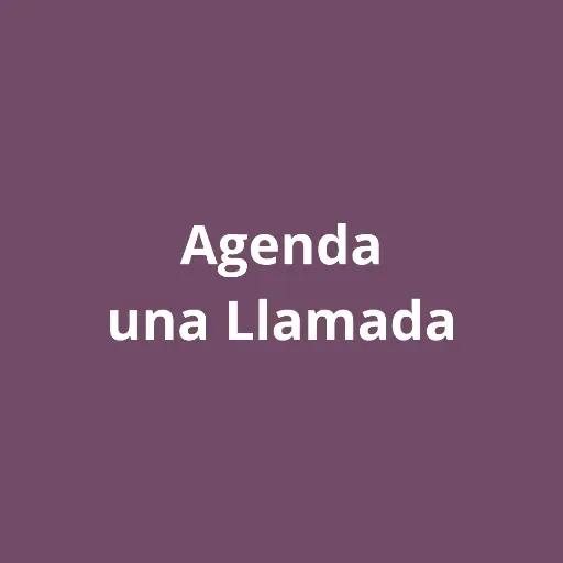 Reunión en Español